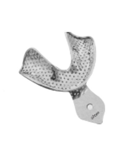 Impression Tray L