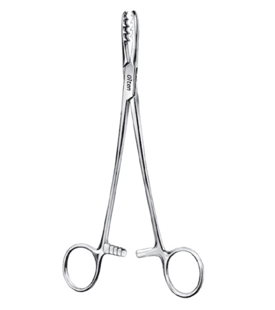 Bircher Ganske Cartilage Seizing Forceps