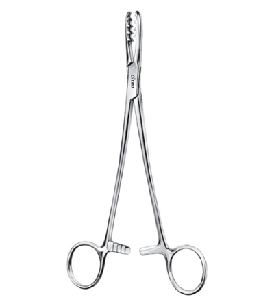 Bircher Ganske Cartilage Seizing Forceps