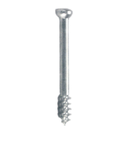 Cancellous Screw