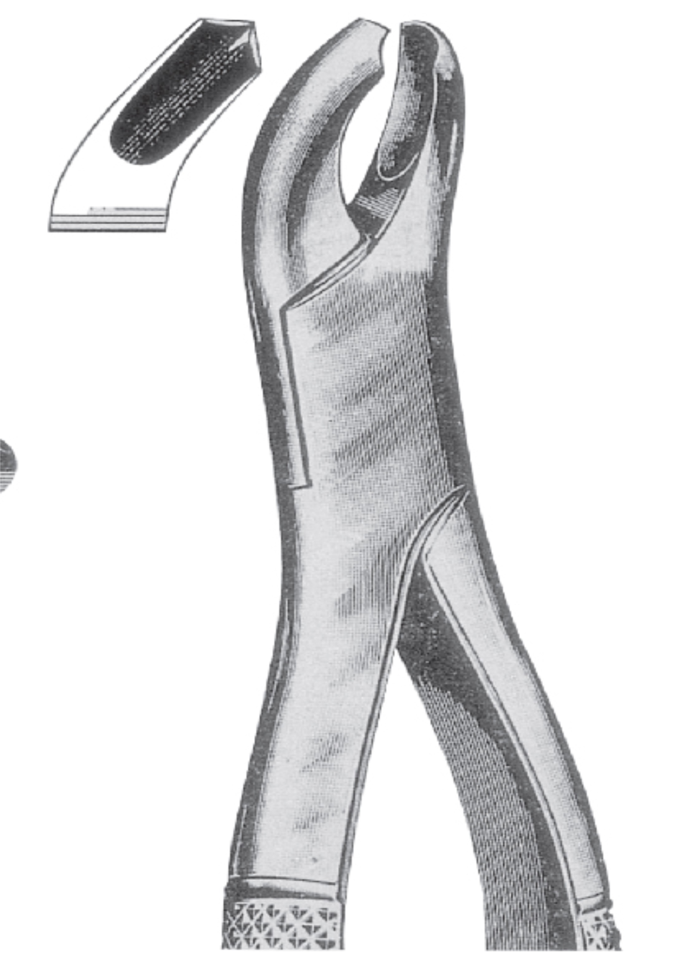 Upper molars Right side