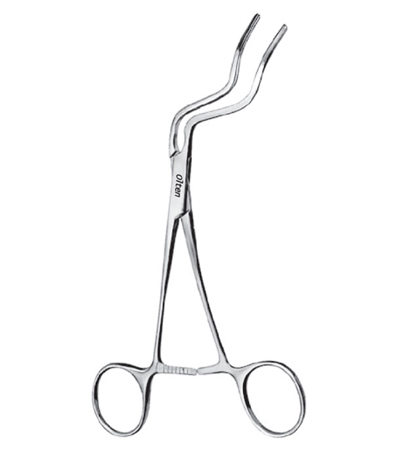 Terry Mylohyoid Muscle Clamp