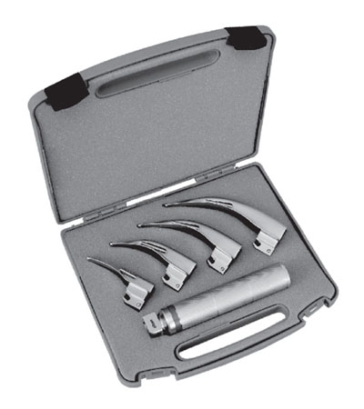  Fiber Optic Macintosh Sets